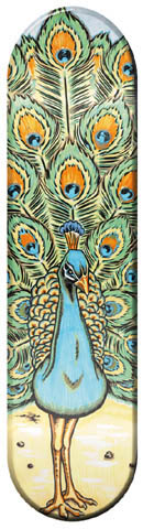 Zero Peacock skateboard deck: Painted peacock facing the viewer with its tail fanned out behind, in teal, green and orange feather detail, standing on pale sand.