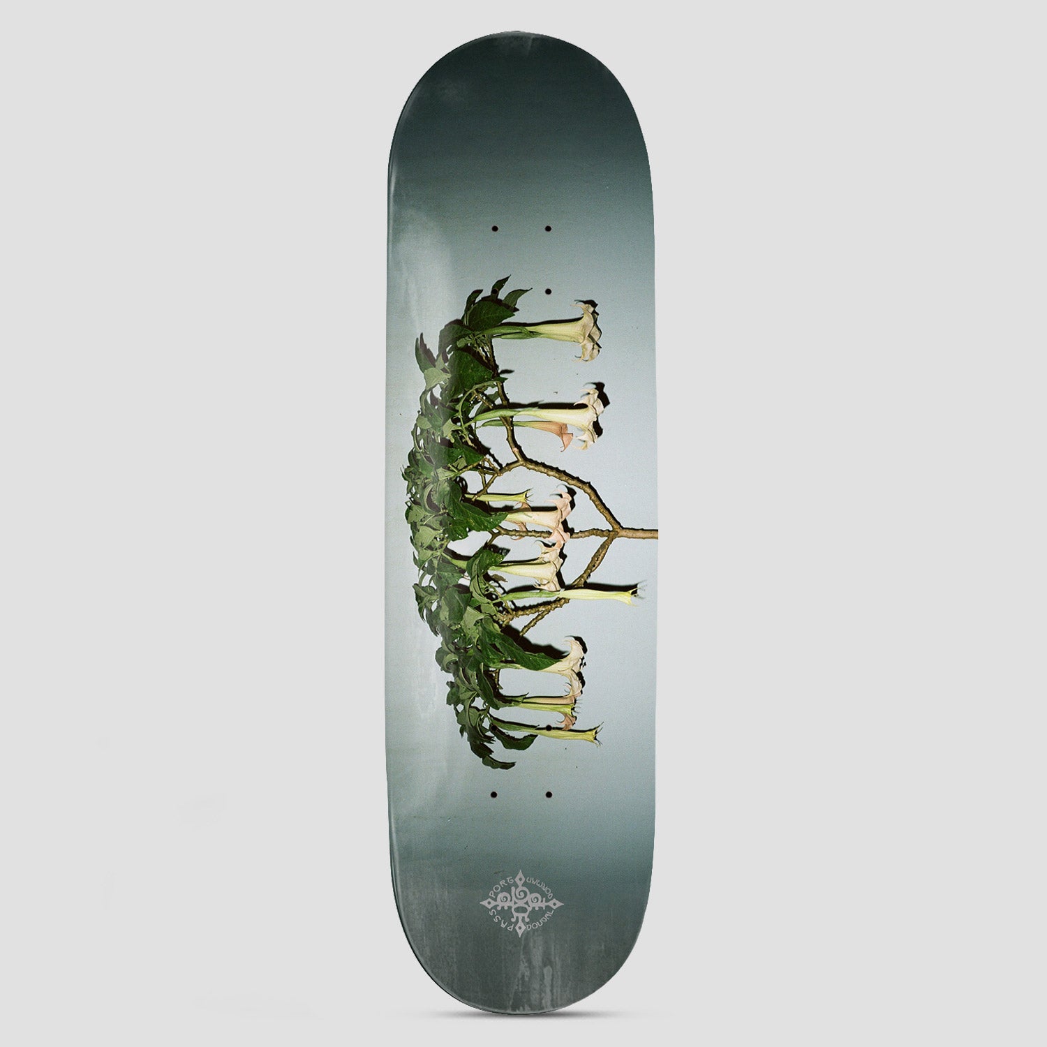 Passport D.G Series Angel Trumpets skateboard deck: Photographic image of an angel's trumpet plant with long cream flowers hanging from branches, set sideways on a grey-green gradient. Small ornate Passport emblem at the tail.