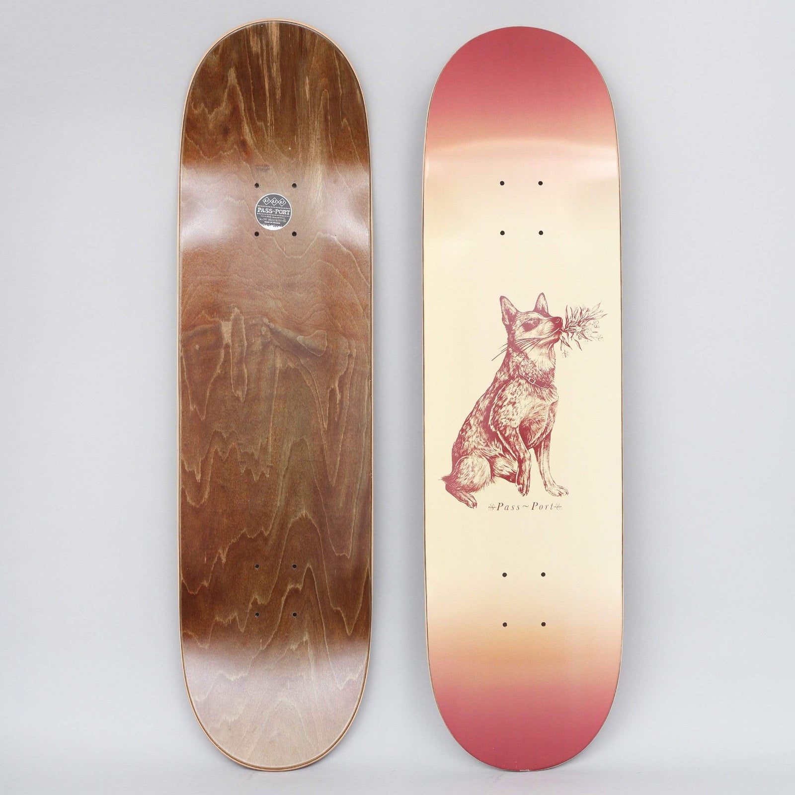 Passport Doggo Vovo skateboard deck: Single-colour red-brown engraving-style drawing of a seated dog holding a sprig of leaves or flowers in its mouth, on a cream deck fading to red at the ends. Pass~Port name below the dog.