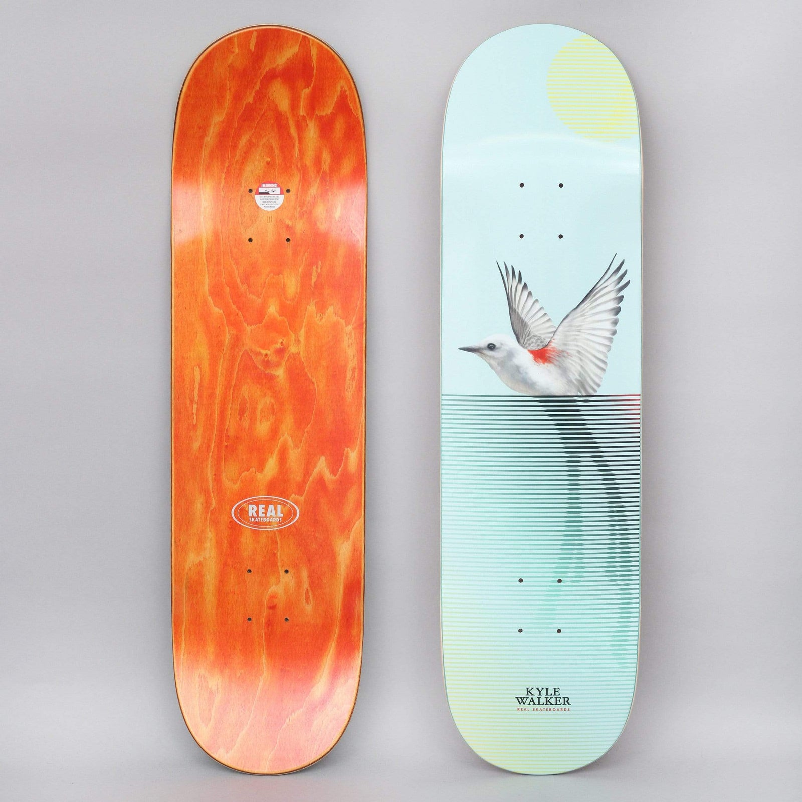 Real Kyle Segment II skateboard deck: A white-bellied bird with a red patch and wings raised hovers over its own faint reflection made of horizontal lines, on a pale aqua deck with a pale yellow sun. Kyle Walker is printed near the tail. Photo shows the underside too.