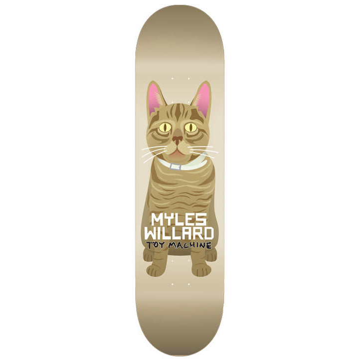 Toy Machine Myles Willard Cat 8.13 skateboard deck: Cream deck with an illustrated seated tabby cat with yellow eyes, pink ears and a pale collar, facing forward. Rider name and brand in white and black lettering across its chest.
