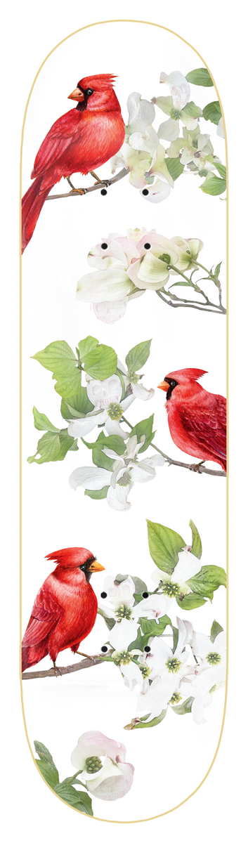 Zero Wimer - Cardinal - Small Batch skateboard deck: Watercolour-style illustration of three red cardinals perched on branches of white flowering dogwood with green leaves, on a white deck.
