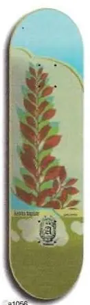 Aesthetics Plant Series Taylor deck in the Aesthetics 2003 Spring Summer