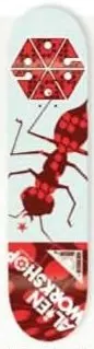 Alien Workshop Van Engelen Army Ant deck in the Alien Workshop Catalog 2006 Fall