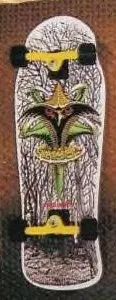 Powell Peralta Hawk Claw deck in the CCS 1990 Spring Summer