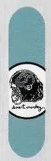 Consolidated Smart Monkey deck in the Cali4nia Skate Express #80 1996
