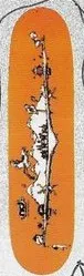 New Deal Richter deck in the Cali4nia Skate Express #70 1993