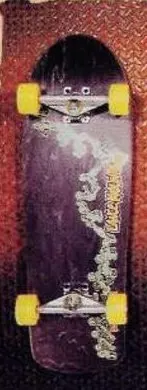 Powell Peralta Mountain Mid deck in the CCS 1990 Fall