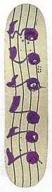 Mad Circle Musical Notes deck in the CCS 1994 Fall