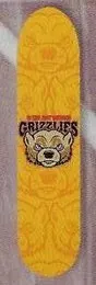 Tree Fort Grizzlies deck in the CCS 1996 Fall