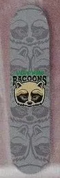 Tree Fort Racoons deck in the CCS 1996 Fall