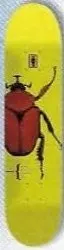 Girl Johnson Bug deck in the CCS 1999 Back To School