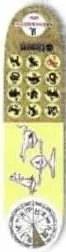 Element Markovich Astro deck in the CCS 1999 Spring