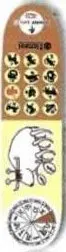 Element Barley Astro deck in the CCS 1999 Spring