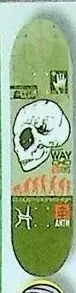 Alien Workshop Way Evolution Mask deck in the CCS 2000 Back To School