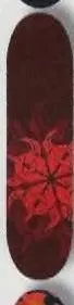 Darkstar Center Red deck in the CCS 2003 Summer
