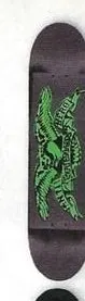 Anti Hero Stencil Point deck in the CCS 2011 Back To School Catalog