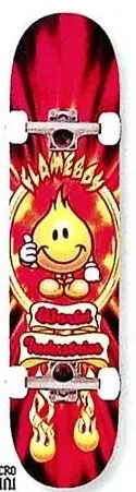 World Industries Flameboy V2.0 Complete (Micro Mini) deck in the Dwindle 2006 Spring