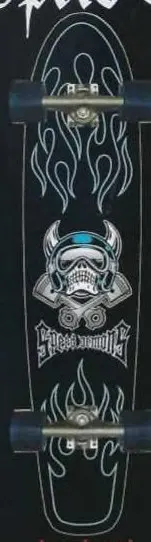Speed Demons Longboard Flames deck in the Dwindle Distribution 2006 Fall