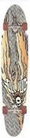 Sector 9 00 Phoenix deck in the Eastern Skateboard Supply 1999 2000