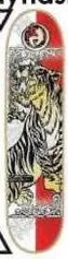 Dynasty Fujimoto Tiger deck in the Eastern Skateboard Supply 1999 2000