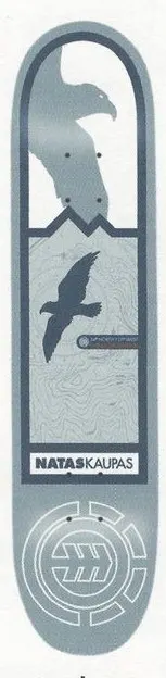 Element Kaupas Instinct deck in the Element 2001 Spring