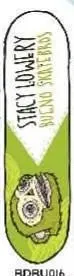 Bueno Lowery Mask deck in the Giant Distribution 2006 Summer Catalog
