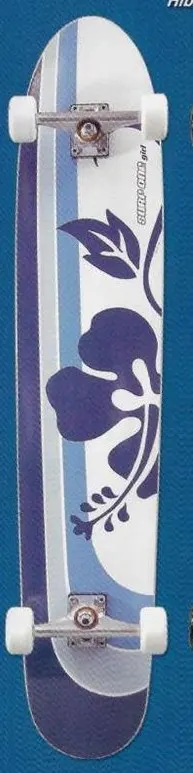 Surf One Girl Hibiscus deck in the Skate One 2003 Spring Catalog