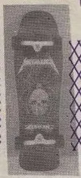 Zorlac Spider Metalica deck in the Skate Warehouse Daily Grind 1990 Winter