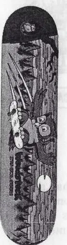 Woodstock Owl deck in the Skaters Union Distribution 1996
