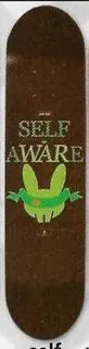 Popwar Self Aware 2 deck in the South Shore Distributing 2004 Fall