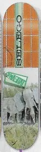 Habitat Exposition Selego deck in the South Shore Distributing 2004 Fall