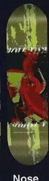 Think Nose Grind Logo deck in the South Shore Distributing 1998