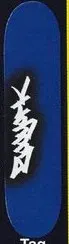 Zoo York Tag Logo deck in the South Shore Distributing 1998
