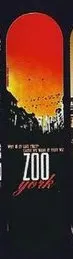 Zoo York "Why Is It Like That" deck in the South Shore Distributing 1998