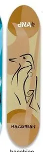 dNA Hacobian Abstract deck in the Syndrome Distribution 2004 Spring
