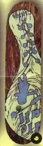 Foundation Olson Paddle Ball deck in the Tumyeto Catalog 1994
