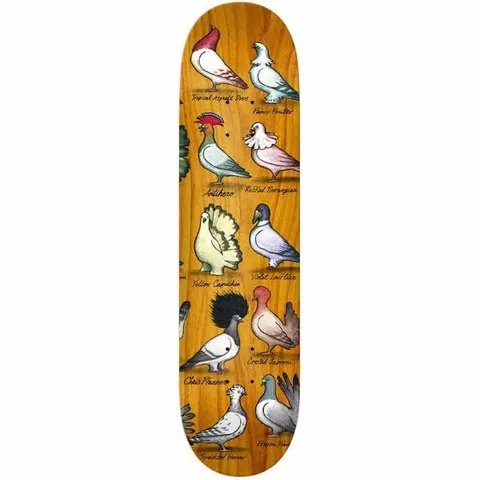 Anti Hero Chris Pfanner Show Pigeons deck