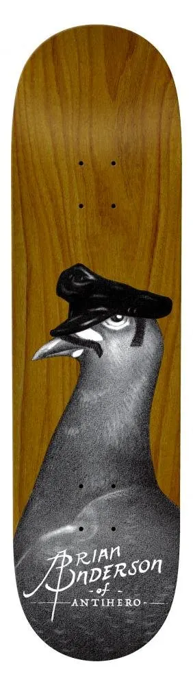 Anti Hero Feather Daddy BA deck