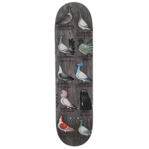 Anti Hero Tony Trujillo Show Pigeons deck