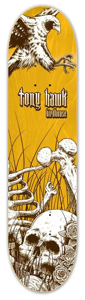 Birdhouse Hawk Aviary deck