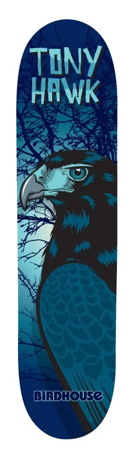 Birdhouse Hawk Neverwas deck