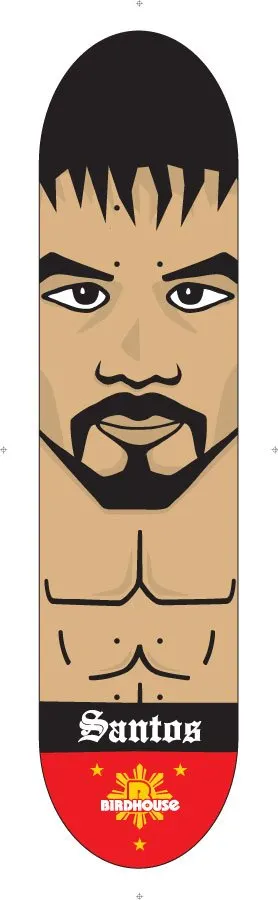 Birdhouse Santos Lakas deck