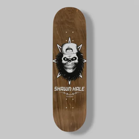 Birdhouse Shawn Hale Skull deck