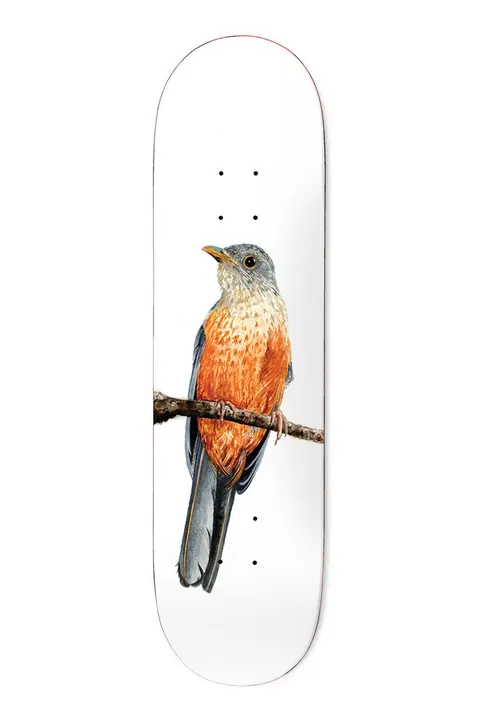 Deathwish Yuri Facchini Sabia-Laranjeira deck