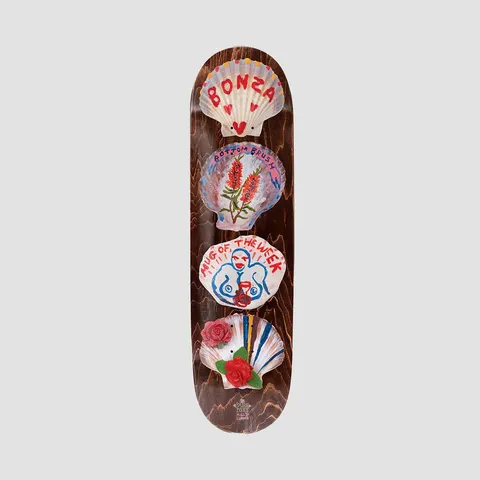 Passport Molly Turner Series Shells deck
