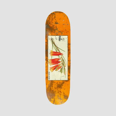 Passport Tin Floral Series Bells Yellow deck