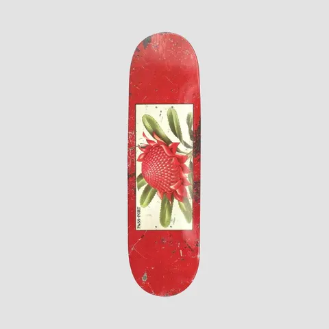 Passport Tin Floral Series Waratah Red deck