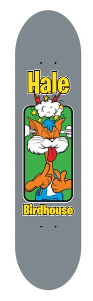 Birdhouse Shawn Hale Old School deck
