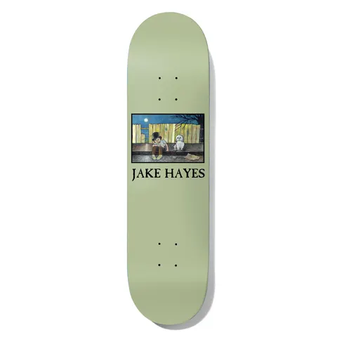 Deathwish Hayes Moonshadow 8.25 skateboard deck: Painted night scene in a framed rectangle showing a boy in a top hat sitting on a kerb beside a small white dog in front of a wooden fence under the moon, with the rider's name below in black serif capitals.